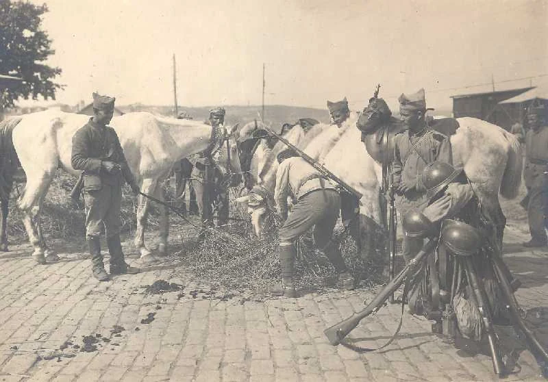 Σίτιση αλόγων του Ελληνικού Στρατού.